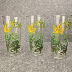 Vintage Salem Autum Leaves Tall Glass Tumblers (3)