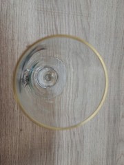 VTG 1950’s Carwin Cordial Glass Painted Wild Game «CANVAS BACK» Gold Rim