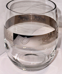 8 Roly Poly Glasses Silver Band Harness Steeplchase Thoroughbred Horse Racing #2