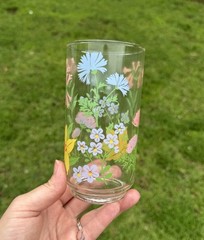 Vintage Libbey Flower Garden Drinking Glass W/ Colorful Floral Design Set Of 2