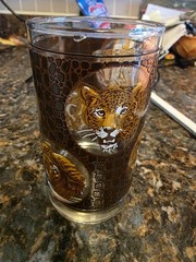 Vtg Libbey African Safari Animals Textured Highball Glass Flat Tumbler Set of 8