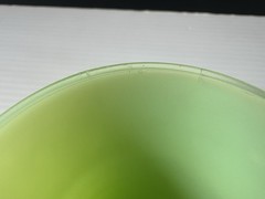 Vtg McKee Flower Band Jadeite Green Uranium Glass 5oz Footed Tumbler VHTF