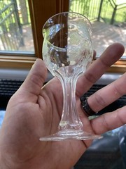 VINTAGE Raised Etched Roses Clear Paneled Stem Wine Glass 5.25″H