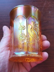 Pretty Marigold Northwood Carnival Glass Singing Birds Pattern Tumbler