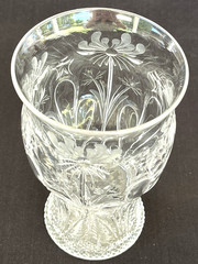10 x STEVENS & WILLIAMS Victorian Floral Etched Cut Glass Tumblers SWL15 19th C