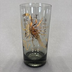 Vintage Zodiac Smoky Highball Glass Tumbler Set of 3 Aquarius Libra Scorpio