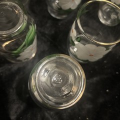 Federal Glass Co. Vintage Hand painted W/Dogwood Juice Glasses 3 In Set Of 6