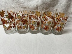 Vintage 5 Beautiful Libbey Fall Foliage Glasses