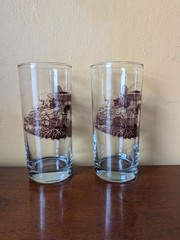 Set Of 2 Down to Earth Basics Glasses Vintage Mushrooms by Marcy Tippmann