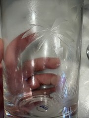 Vintage Set Of 4 Wells Hand Blown Etched Sunset Palm Collection HiBall Glasses