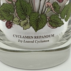 Vintage Botanic Garden Glass Tumbler Set/3-Cyclamen, Gazania & Rosa