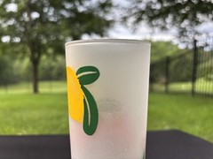 Retro Set of 4 Federal Frosted Fruit 6 3/4″ Tom Collins/Zombie Glasses VGUC