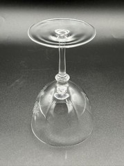 Vintage Drinking Glass Royale Moselle Rose Cut Crystal Water Replacement