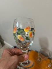 Vintage Libbey handpainted tulip wine glasses