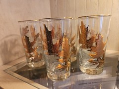 MCM Libbey Gold Leaf Embossed Oak Leaf Glasses Set Of 7