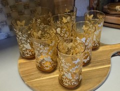 Vintage Butterfly Libbey Drinking Glasses Nature Print Amber Tumbler Barware Set