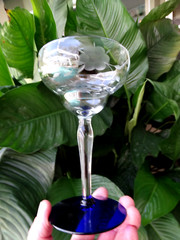 Weston Glass WGL45 Grey Cut 6 Petal Floral Tall Champagne w/ Cobalt Blue Foot
