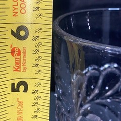 EAPG Adams & Co. Plume 10.5oz Water Goblet C1880’s