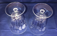 Vintage Etched Goblets Stemmed Iced Tea Wine Footed Floral Fantasy Glass
