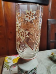 Floral Pattern Decorated Glass Tumbler Set, Clear Brown Beige, Vintage Design