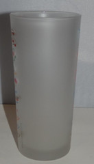 WASHINGTON DC White House Potomac Smithsonian Glass Cup Tumbler Catstudio 2015