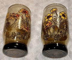VINTAGE FLORAL Brown Yellow and Orange Juice Glass Set of 2