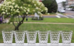 SET OF 6 FOSTORIA AMERICAN SHOT GLASSES WHISKEY TUMBLERS