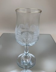 Arby’s Winter Wonderland Snow Frosted Trees Water Wine Goblet Libbey Vintage