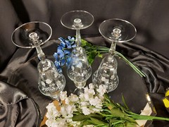 3 Optic Ripple Fern & Draped Flower Etch Trumpet Wine Goblets Glasses Set