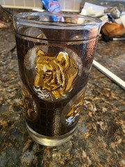 Vtg Libbey African Safari Animals Textured Highball Glass Flat Tumbler Set of 8