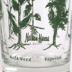 Pair Neiman Marcus weed wildflower drinking glasses clear tall flower botanical