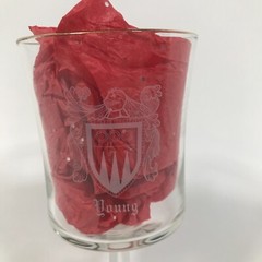 YOUNG Etched Coat Of Arms Family Crest 6.75in X 3.25in Wine Glass Water Goblet