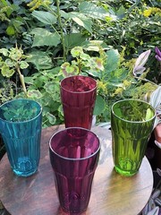 4 Pasabache Tumblers Drinking Glasses Red, Blue, Green, Purple Circlewear 5.5″