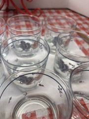 Vintage Anchor Hocking Rock Clear Glasses Set of Nine Pink-Blue Floral Appliqué