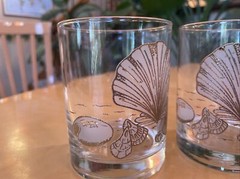 3 Double Old Fashioned Lowball Whiskey Glasses Embossed Gold Seashell Starfish