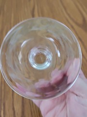4 – Vintage Etched Glass Floral Fern Leaf Small Stemware Cordial Champagne