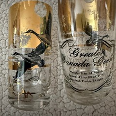 Les Kouba WILD FOWL GOLD GLASS HIGH BALL/TUMBLERS set of 8