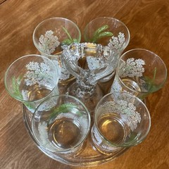 6 Vintage Juice Glasses Dragonfly Queen Anne’s Lace On Glass Holder Carrier