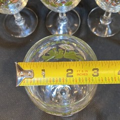 (4) PORTMEIRION Botanic Garden 18oz. 7” Tall Water Goblets Wine Glasses