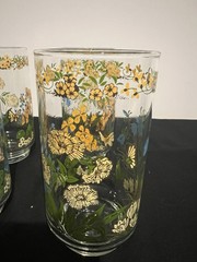 Set Of 7- Libbey Corelle Spring Meadow 10 oz Tumbler Glasses- 5 1/4» EUC Floral