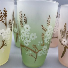 Vintage 1960s Set of 8 Libby Dogwood Frosted Glasses Painted Tumblers 5.5″ Tall
