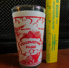 Vintage Federal Glass Frosted Souvenir Glass Tumbler Yellowstone Park-4.75”