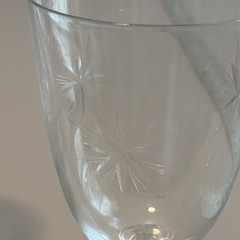 Vintage Crystal Etched Water Goblet