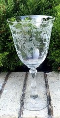 Vintage Excellent Fostoria Clear Navarre 7 5/8” Water Goblet Etched Optic Panel