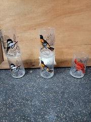 Vintage Anchor Hocking Song Birds Chickadee Drinking Glass Tumbler 5″