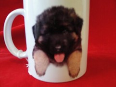 Coffee Mugs with Full Color Dog Print