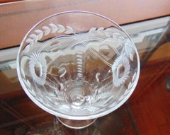 Cut Floral Plant and Dots Tumbler Glass Optic 5 inch 7 oz