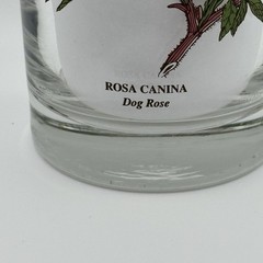 Vintage Botanic Garden Glass Tumbler Set/3-Cyclamen, Gazania & Rosa