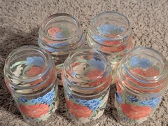 Set of 4 Vintage Flower Floral Mid Century Tumblers 5-3/4″ Drinking Glasses