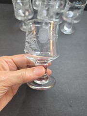 Cristal d’Arques Durand Gray Cut Thistle Cordial Glass Set of 7 France 3.5″